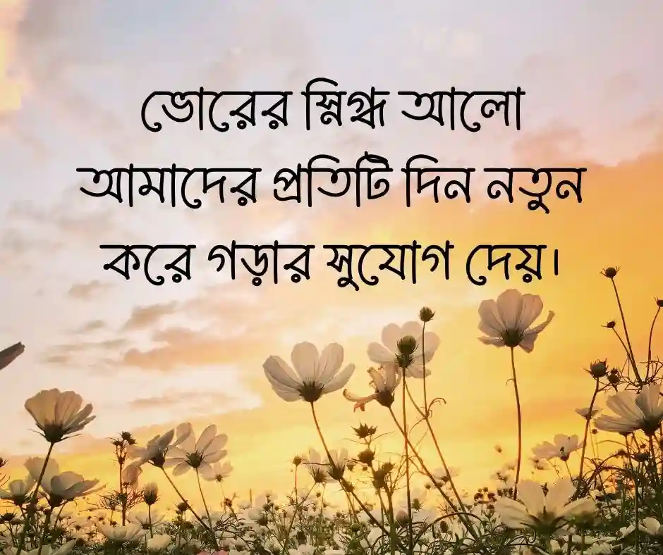 সুন্দর ফেসবুক স্ট্যাটাস ফেসবুক স্ট্যাটাস ক্যাপশন