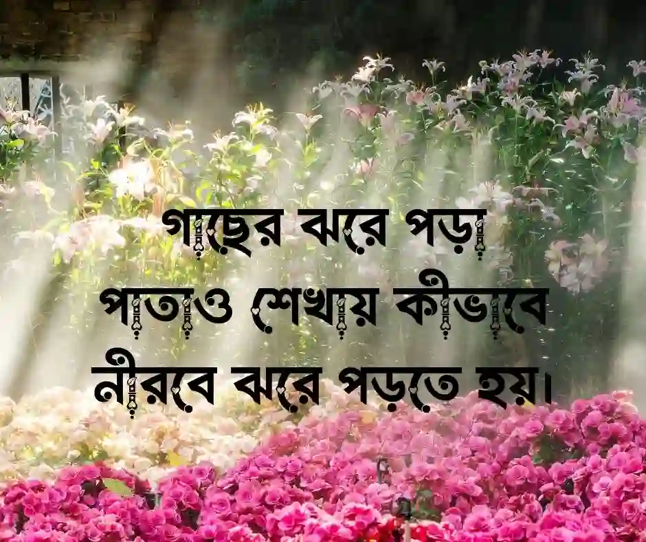 স্টাইলিশ ফেসবুক ক্যাপশন FB Caption Bangla