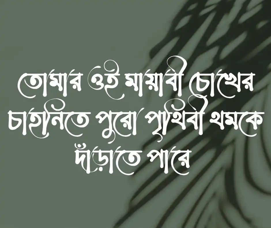 কাব্যিক উক্তি
