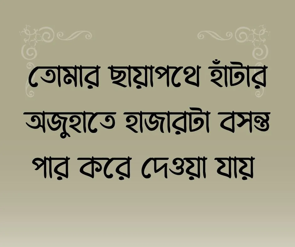 কাব্যিক ক্যাপশন বাংলা