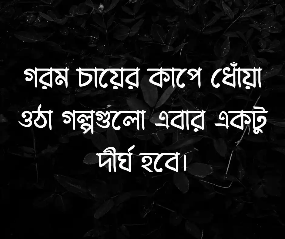 শীতের আগমন নিয়ে ক্যাপশন&nbsp;