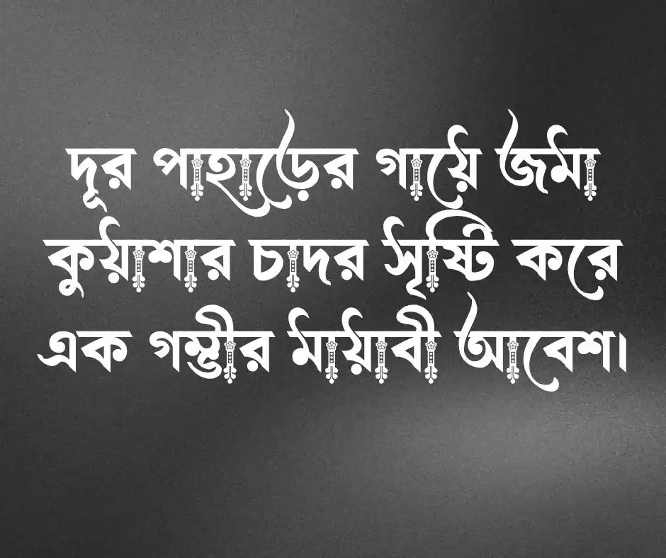 শীতের নিয়ে কিছু কথা