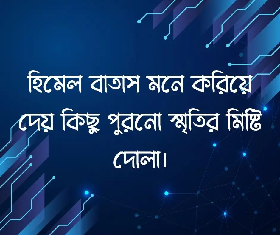 শীতের নিয়ে ক্যাপশন
