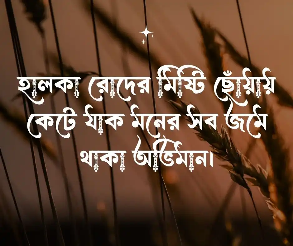 শীতের নিয়ে স্ট্যাটাস