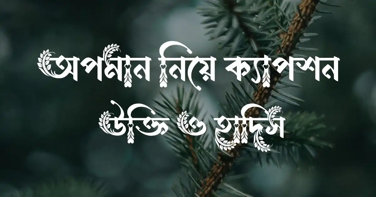 অপমান নিয়ে ক্যাপশন, উক্তি ও হাদিস