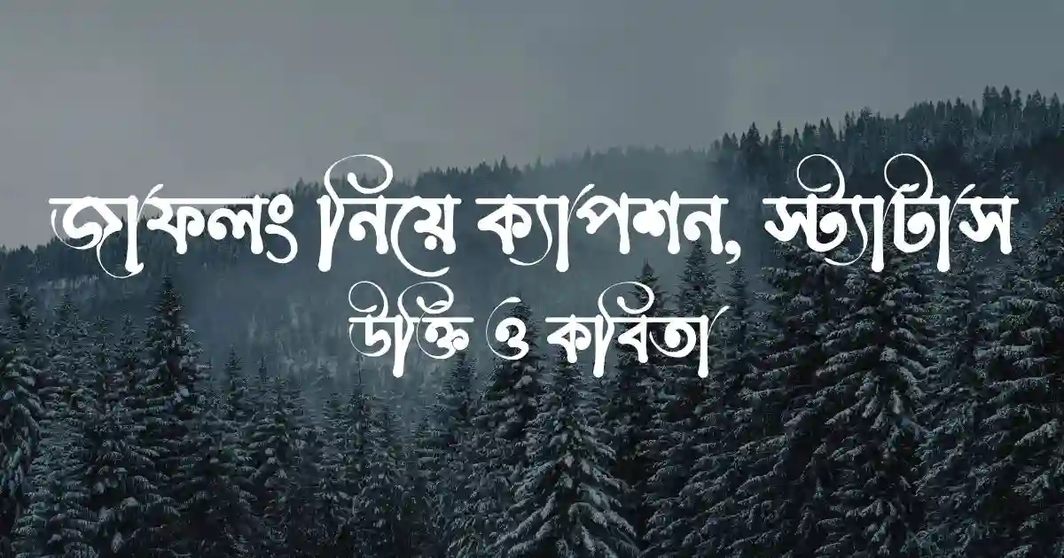 কানের দুল নিয়ে ক্যাপশন, স্ট্যাটাস, ছন্দ ও কবিতা