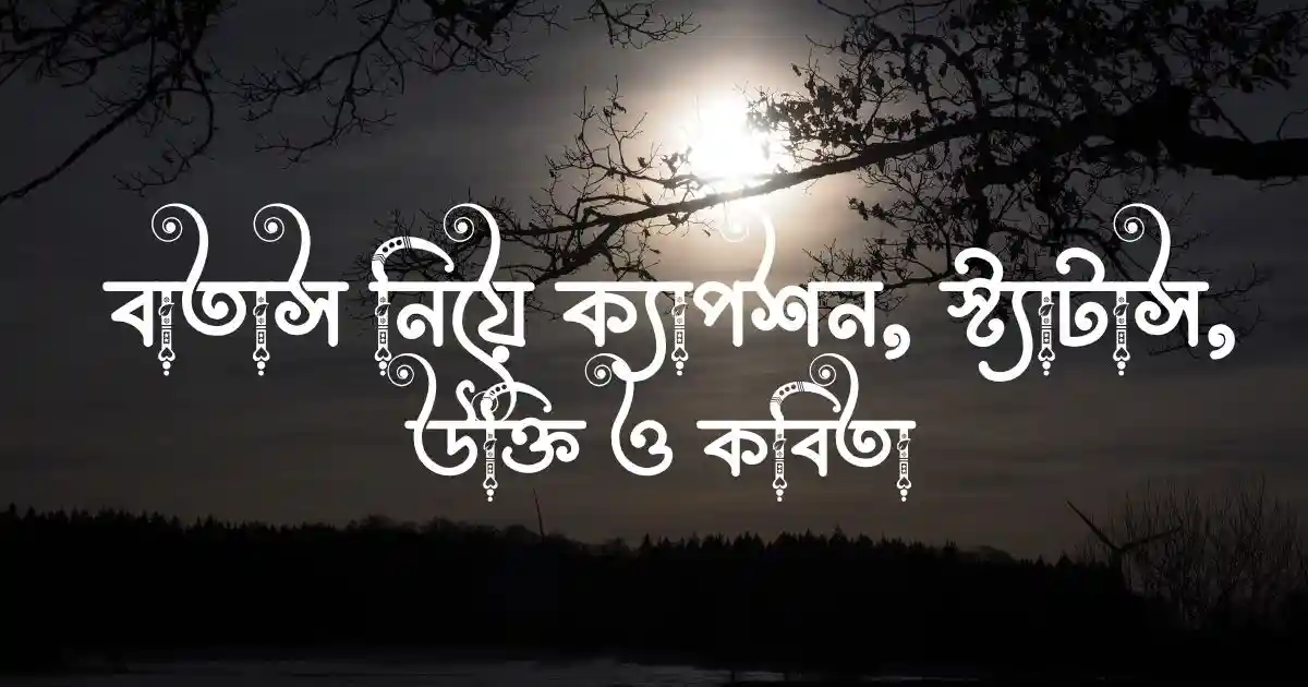 বাতাস নিয়ে ক্যাপশন, স্ট্যাটাস, উক্তি ও কবিতা 