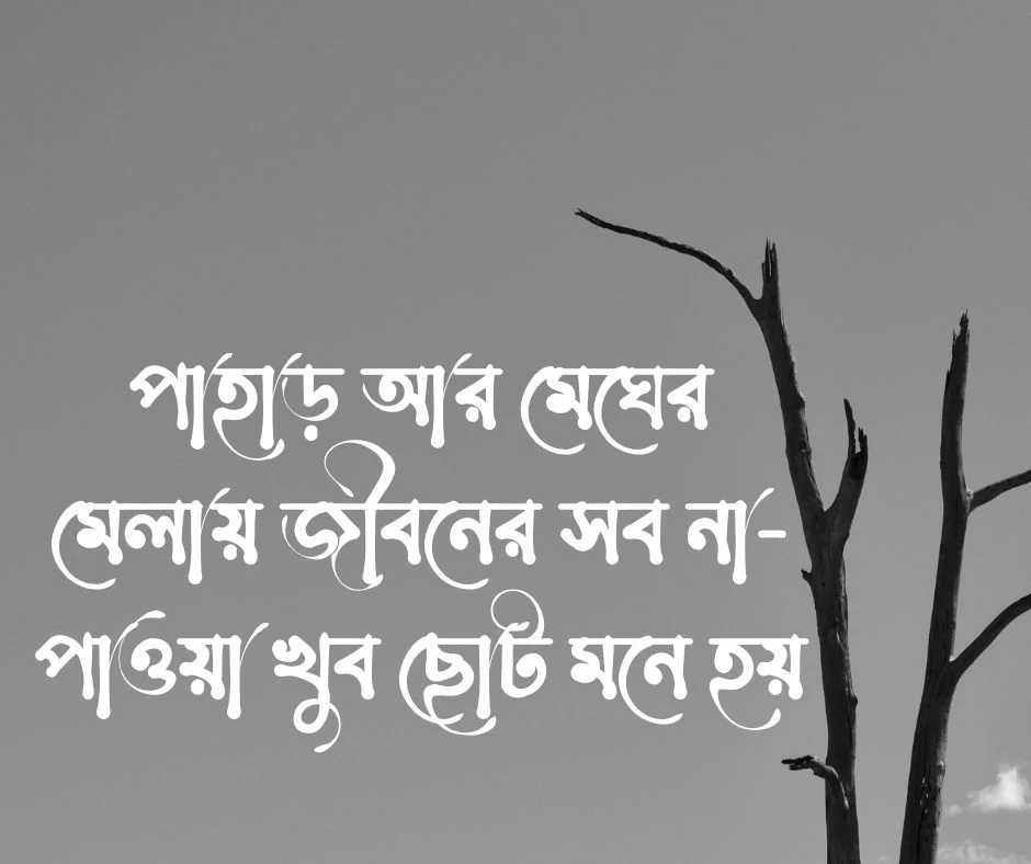 প্রকৃতি নিয়ে ছোট ক্যাপশন
